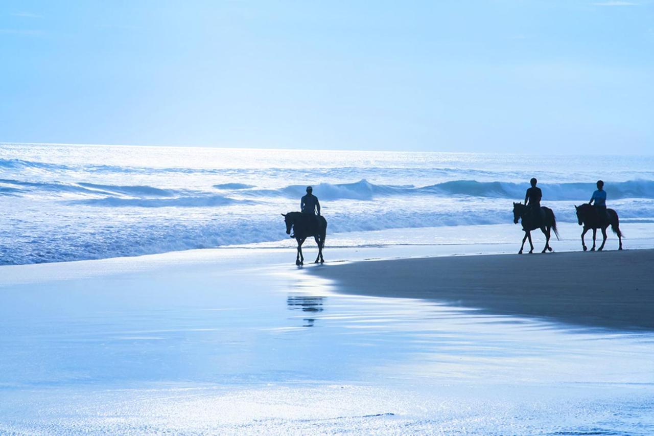 Stunning Oceanview Coastal Home Beach Trails Family Activities Montara Екстер'єр фото